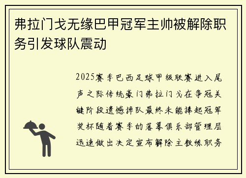 弗拉门戈无缘巴甲冠军主帅被解除职务引发球队震动